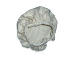 Eureka Hand Vac Filter 54951 Eureka Hand Vac Filter 54951