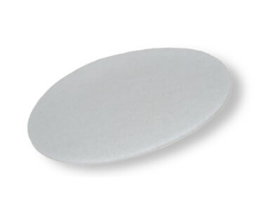 Bissell Garage Pro Secondary Filter 203-0165